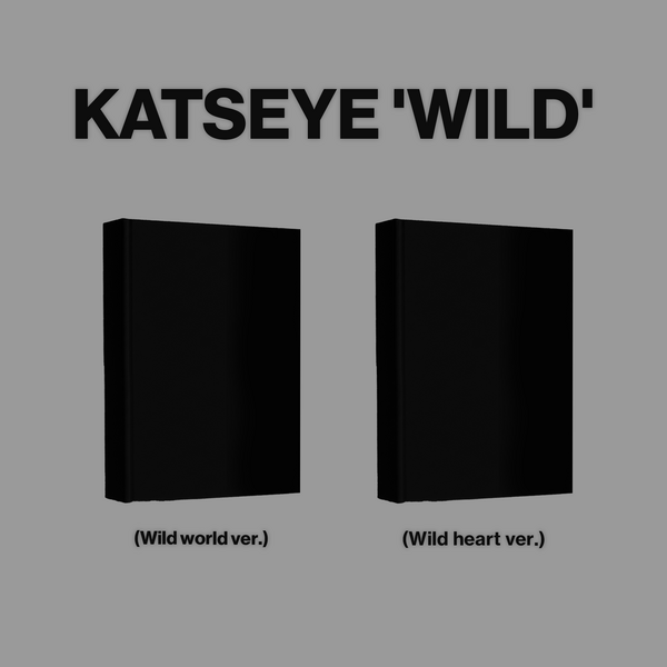 ⏰KATSEYE - [WILD] random