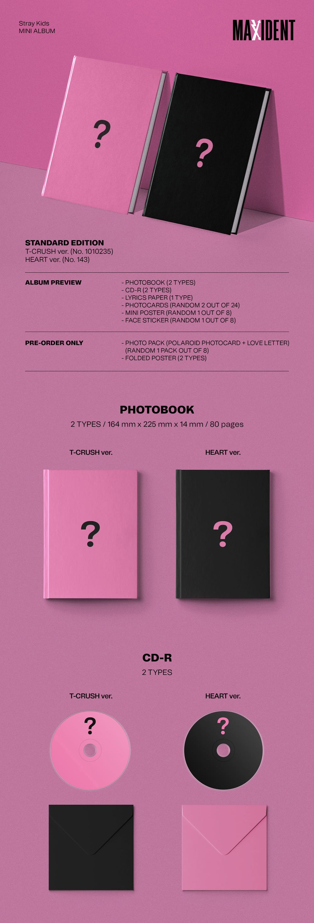 STRAY KIDS - [MAXIDENT] random